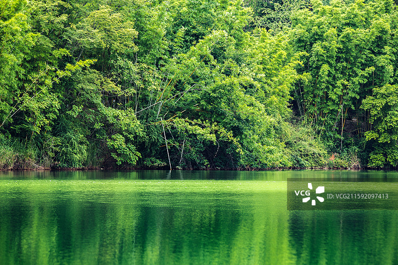 中国云南省玉溪市易门县龙泉森林公园湖泊竹林景观图片素材