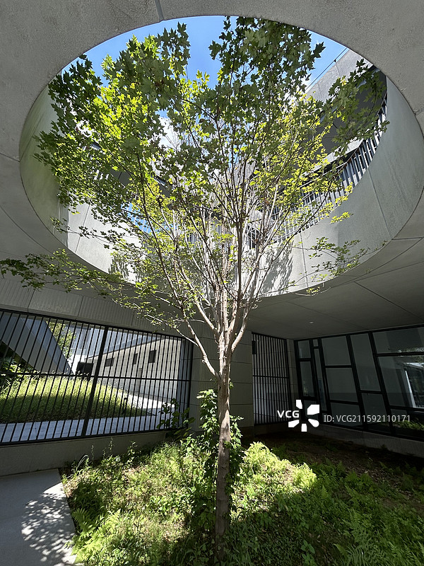浦城美术馆建筑圆形树洞图片素材