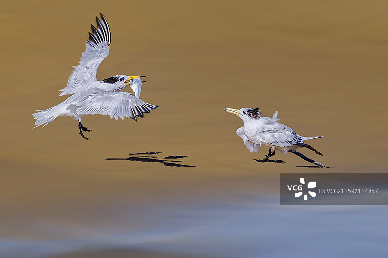 母子互动图片素材