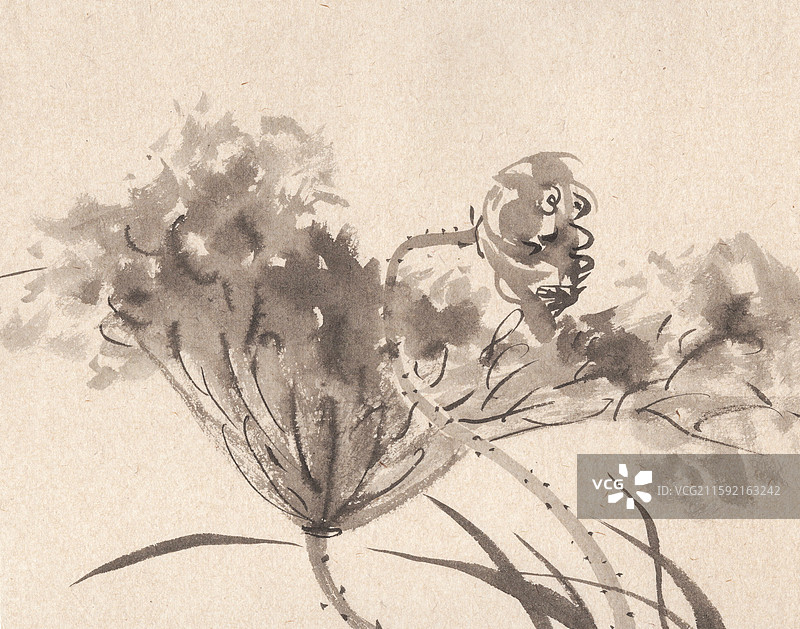 枯荷写意国画插画图片素材