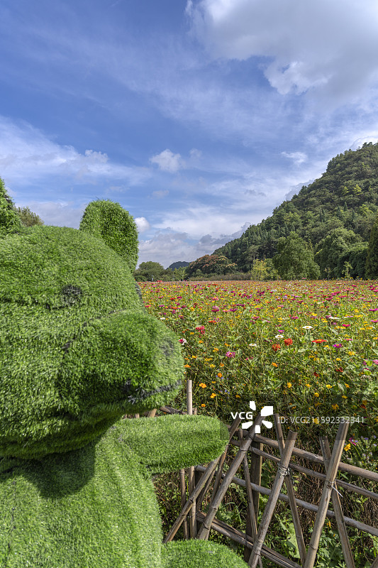 贵阳花溪十里河滩景观：绿萌小熊与缤纷花海图片素材