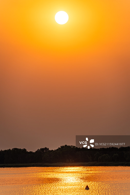 黄昏夕阳晚霞中的河北衡水衡水湖湿地公园自然景观日落风景图片素材