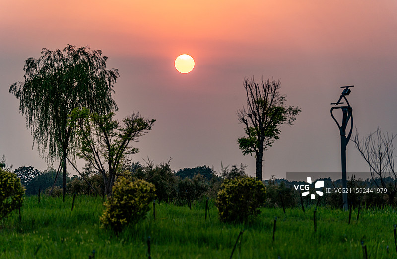 黄昏夕阳晚霞中的河北衡水衡水湖湿地公园自然景观日落风景图片素材
