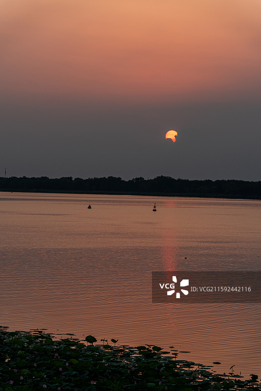 黄昏夕阳晚霞中的河北衡水衡水湖湿地公园自然景观日落风景图片素材