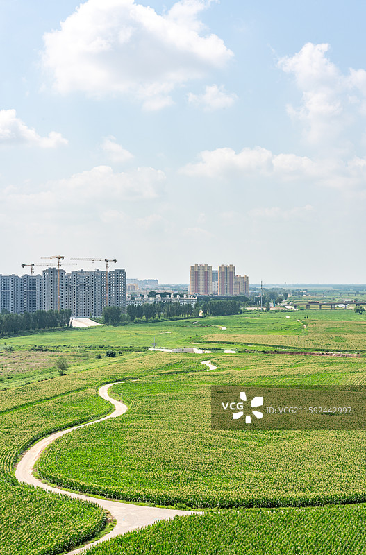 航拍视角高视角下的山东聊城临清漳卫河古运河畔田园田野自然风光图片素材