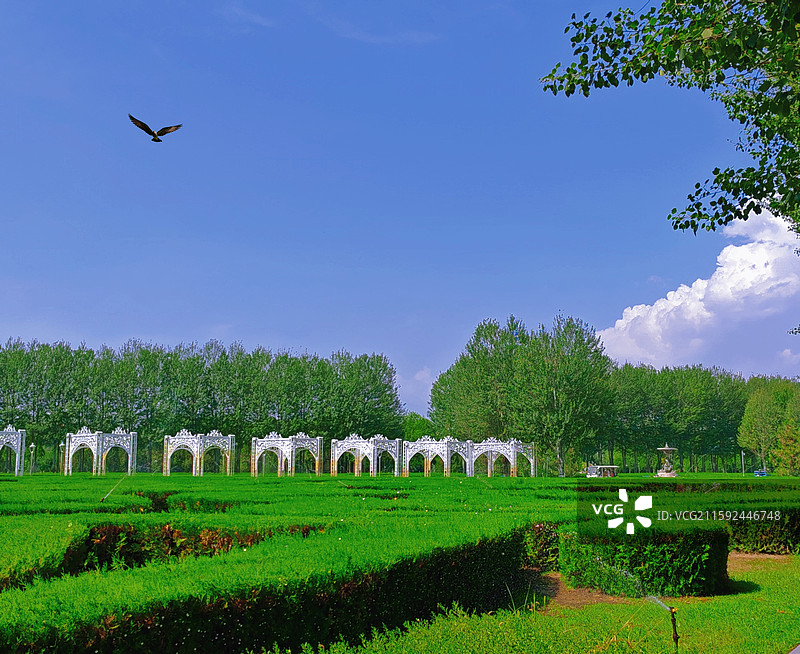 《绿境白拱》图片素材