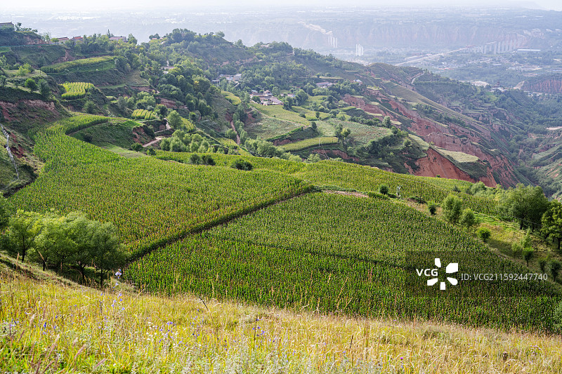 甘肃临夏东乡丹霞地貌，俗称羊肉卷，一个未开发的小景区图片素材