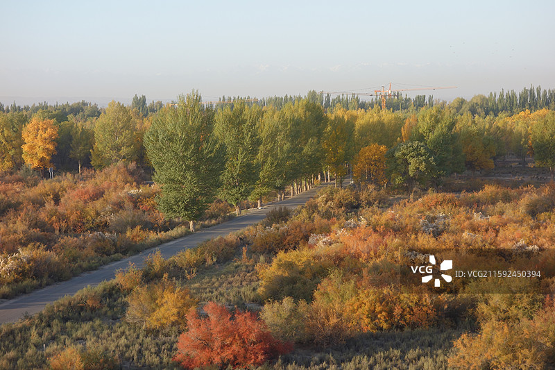 甘肃省酒泉市金塔县金塔胡杨林秋景：烽火台胡杨图片素材