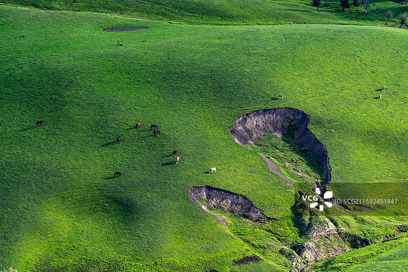 那拉提图片素材