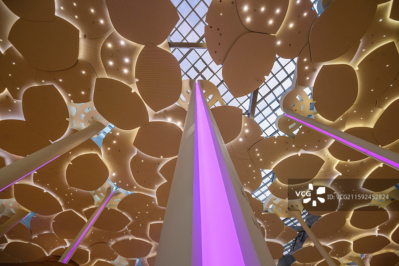 北京城市图书馆造型独特的“森林书苑”，形似银杏树干的立柱，众多“银杏叶”构成的“森林伞盖”天花板。图片素材