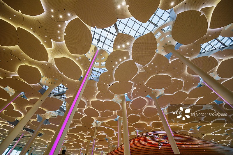 北京城市图书馆造型独特的“森林书苑”，形似银杏树干的立柱，众多“银杏叶”构成的“森林伞盖”天花板。图片素材