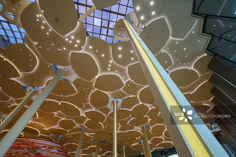 北京城市图书馆造型独特的“森林书苑”，形似银杏树干的立柱，众多“银杏叶”构成的“森林伞盖”天花板。图片素材