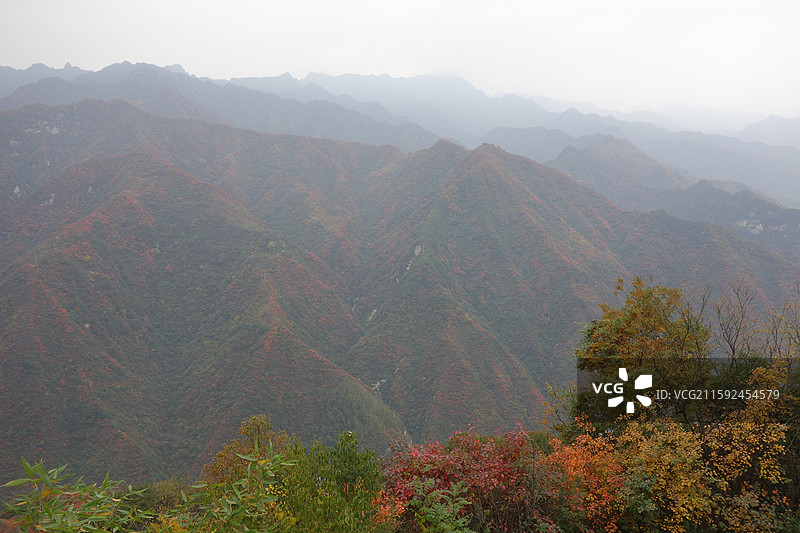 陕西省西安市鄠邑区户县圭峰山红叶彩林秋景图片素材