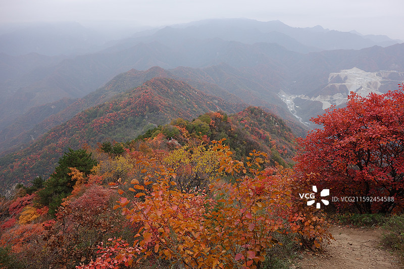 陕西省西安市鄠邑区户县圭峰山红叶彩林秋景图片素材
