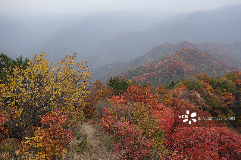 陕西省西安市鄠邑区户县圭峰山红叶彩林秋景图片素材