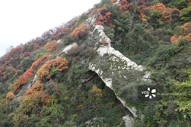 陕西省西安市鄠邑区户县圭峰山红叶：乌桑峪天生桥图片素材