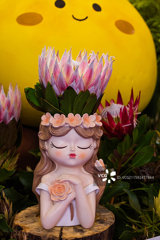 2025年第23届昆明国际花卉展一：9月19日，为期三天的昆明国际花卉展于昆明滇池国际会展中心开幕。图片素材