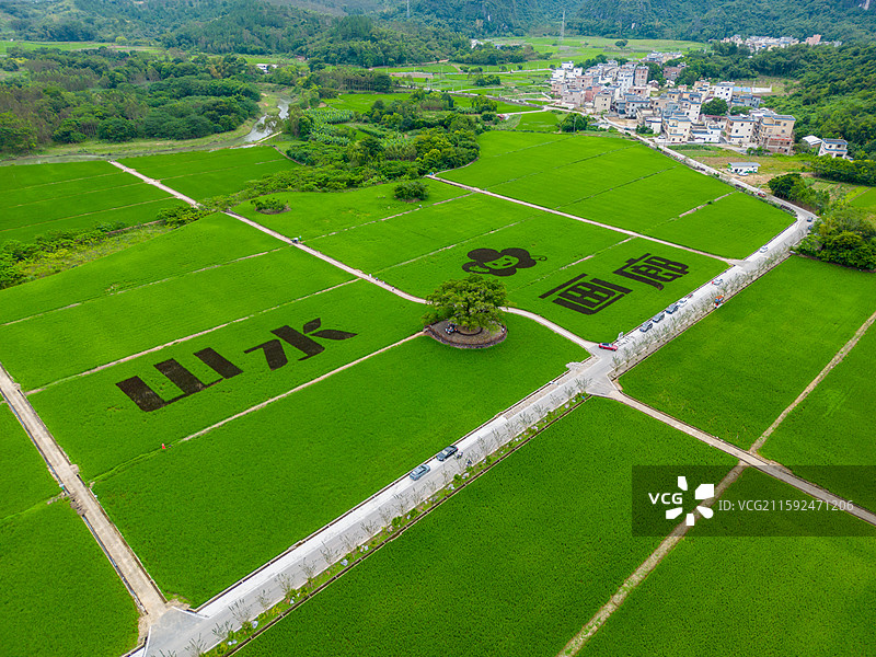 阳春春北山水画廊稻田画航拍风光，中国广东省阳江市阳春市春湾镇图片素材