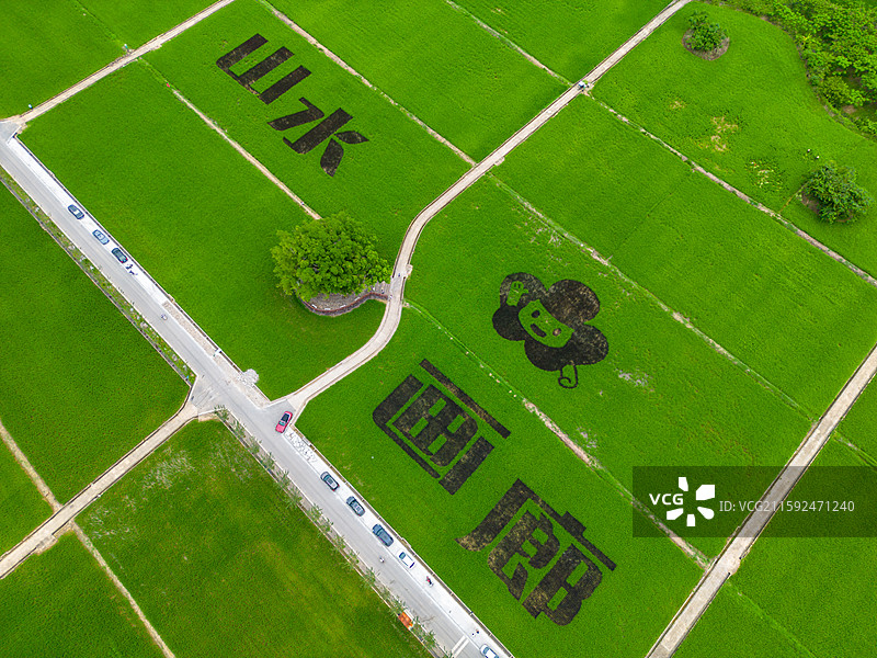 春北山水画廊稻田画风光，中国广东省阳江市阳春市春湾镇图片素材