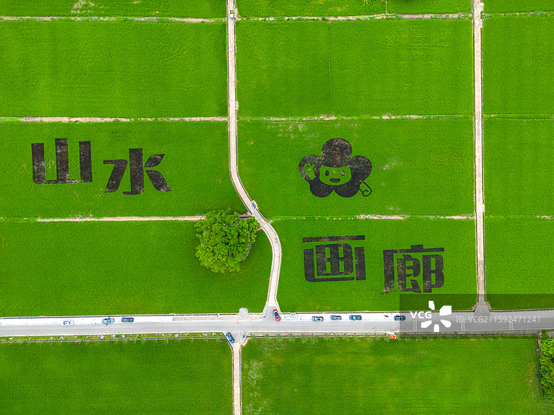 春北山水画廊稻田画风光，中国广东省阳江市阳春市春湾镇图片素材