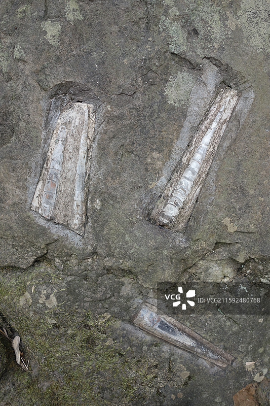 湖北省宜昌市宜昌三游洞震旦角石园：西陵峡口：三峡起始点南津关：张飞擂鼓台图片素材