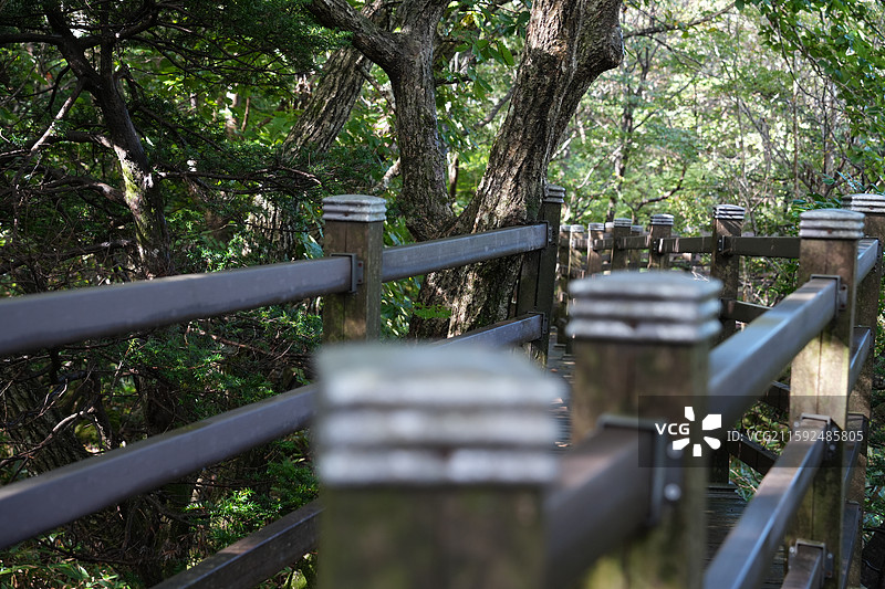 风光和动物图片素材