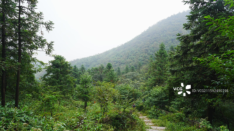 雾气缭绕的杭州鸬鸟山图片素材