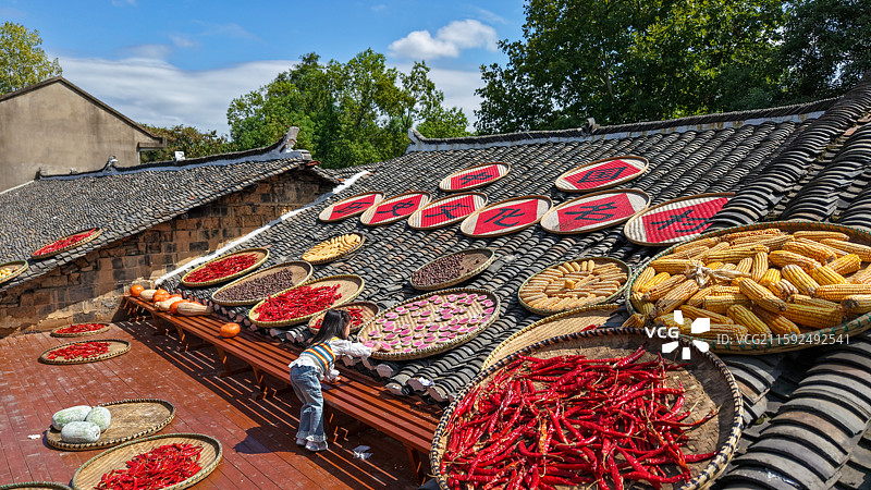 大余湾丰收节晒秋图片素材