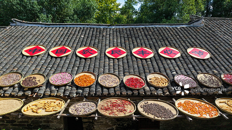 大余湾丰收节晒秋图片素材