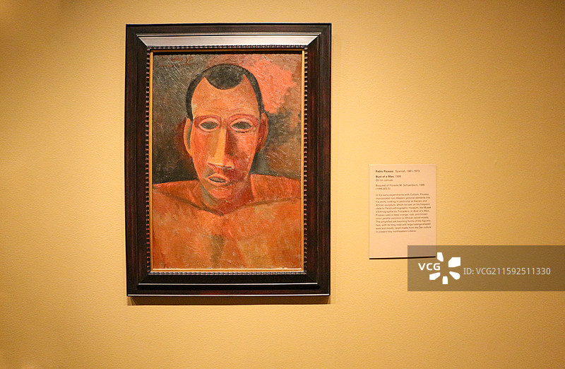 美国大都会博物馆藏品毕加索的画作《一个男人的半身像》图片素材