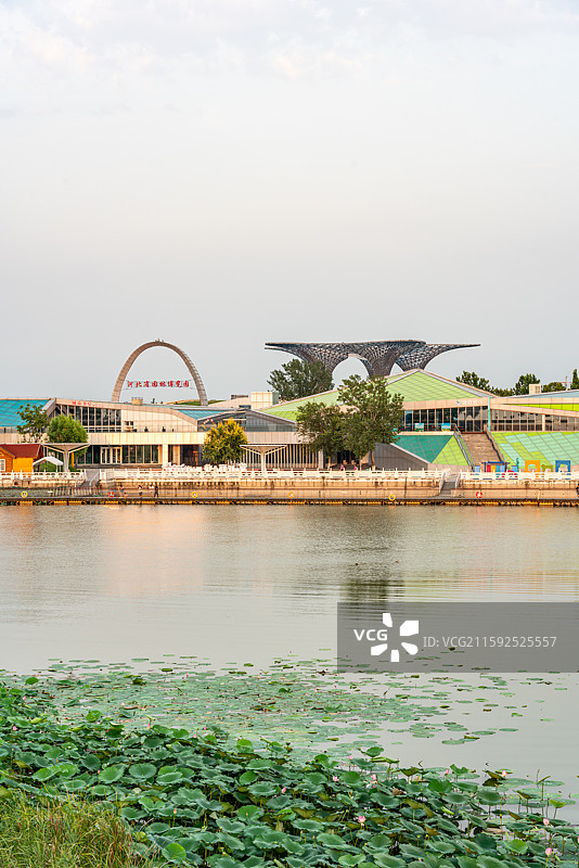 河北衡水湖湿地公园园博园自然景观图片素材