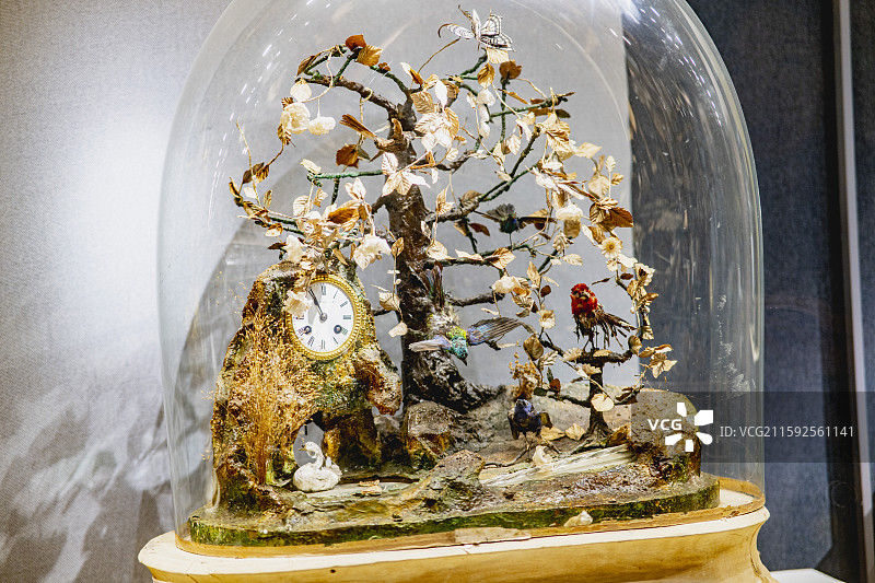 南京博物院图片素材