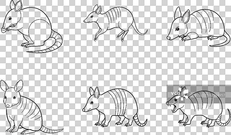 高质量犰狳线条艺术合集图片素材