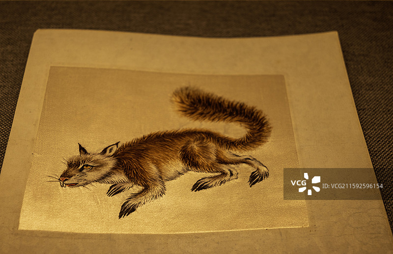 湘绣·狼图片素材