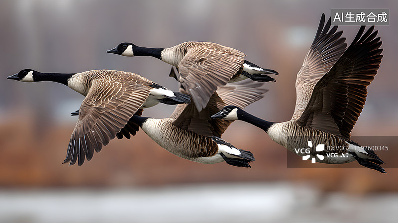 【AI数字艺术】大雁群飞行在空中图片素材