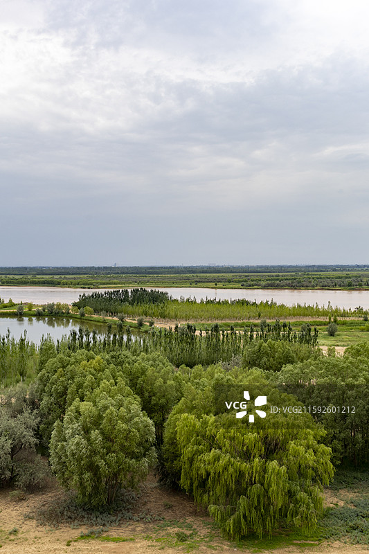 宁夏银川市黄沙古渡的黄沙、白云、绿洲图片素材