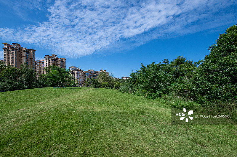 成都市新津区红石涵养湿地公园风光图片素材