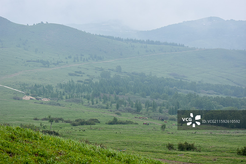 云雾弥漫的北灵山夏季风光图片素材