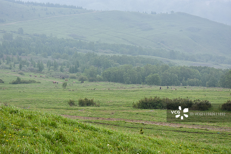 云雾弥漫的北灵山夏季风光图片素材