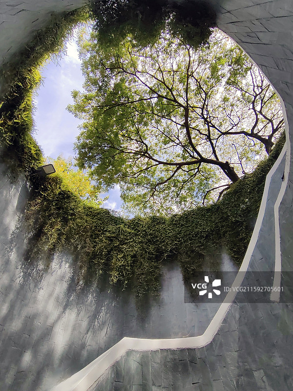 福康宁公园树洞图片素材