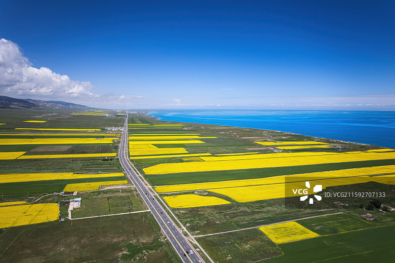 青海省青海湖和青稞麦田油菜花航拍自然风光图片素材