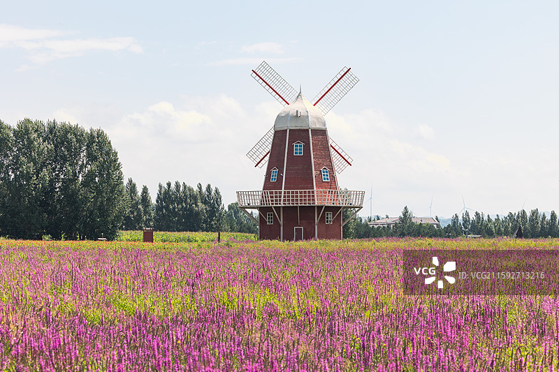 小滦河国家湿地公园图片素材