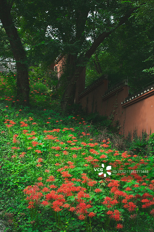滁州琅琊山图片素材