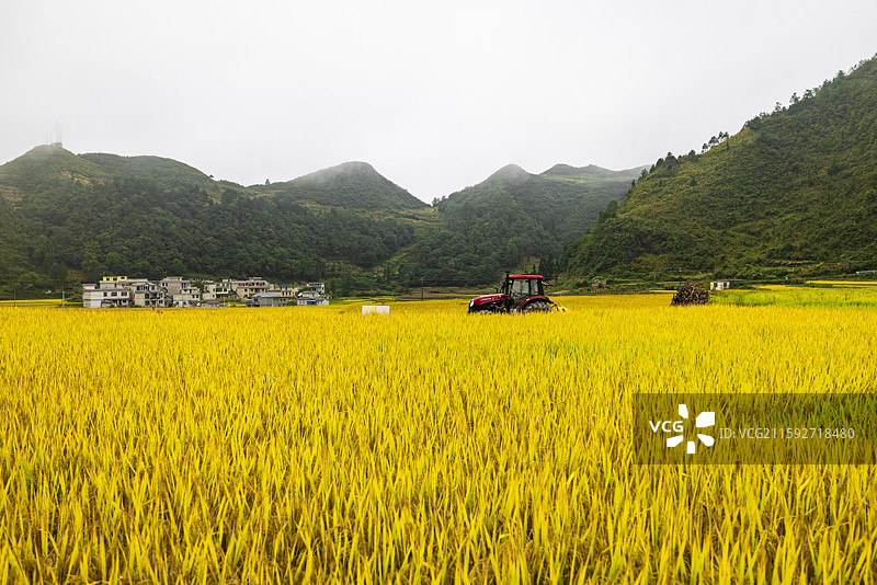 龙里大新梯田图片素材