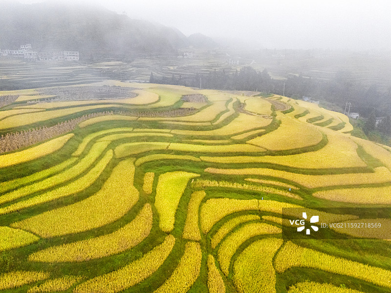 龙里大新梯田图片素材