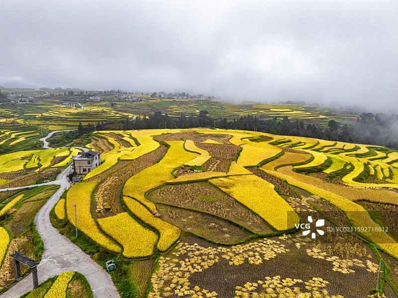 龙里大新梯田图片素材