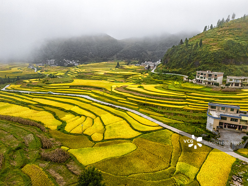 龙里大新梯田图片素材