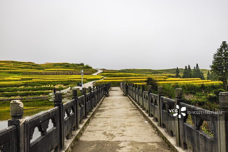 龙里大新梯田图片素材