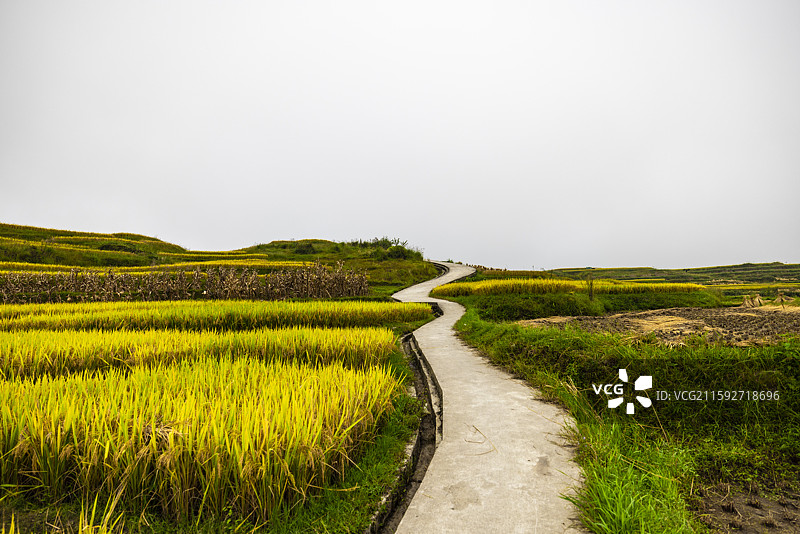 龙里大新梯田图片素材