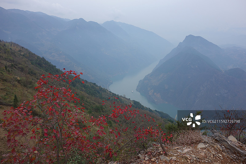湖北省恩施州巴东县大面山巫峡之巅拍巫峡大拐弯红叶图片素材